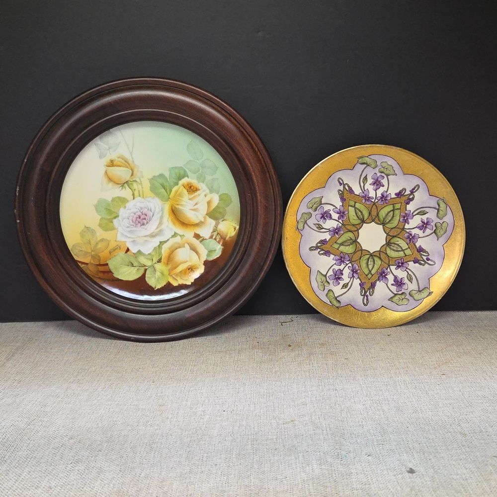 Antique Renard Hand Painted Bavarian Porcelain Flower Plate With Frame.